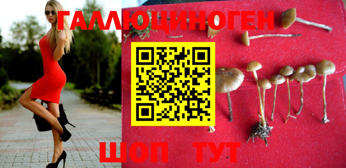 магазин продажи   Галлюциногенные грибы GOLDEN TEACHER  Вход с VPN  Жигулёвск 