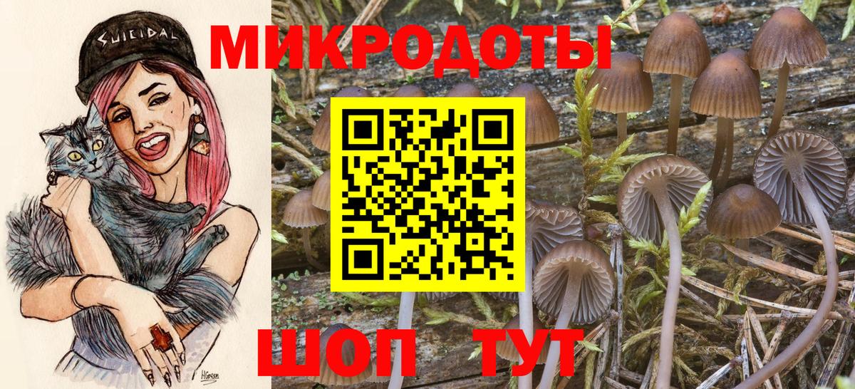Галлюциногенные грибы Magic Shrooms Жигулёвск